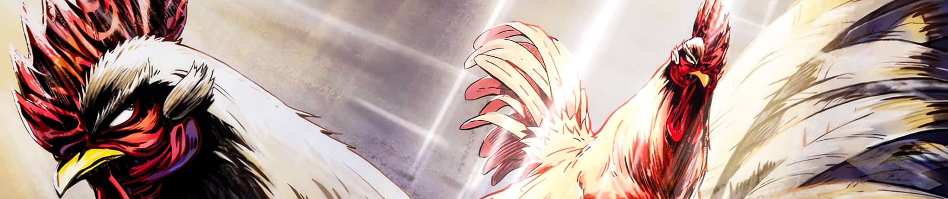 Rooster Fighter banner