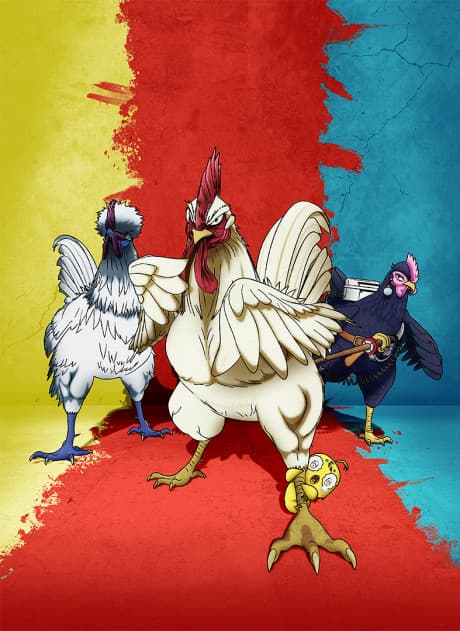 Rooster Fighter cover